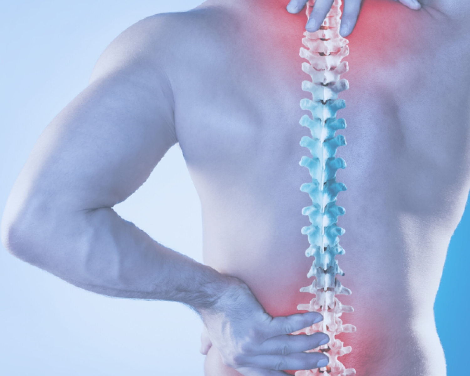 omurga-sagligi-b21ed024